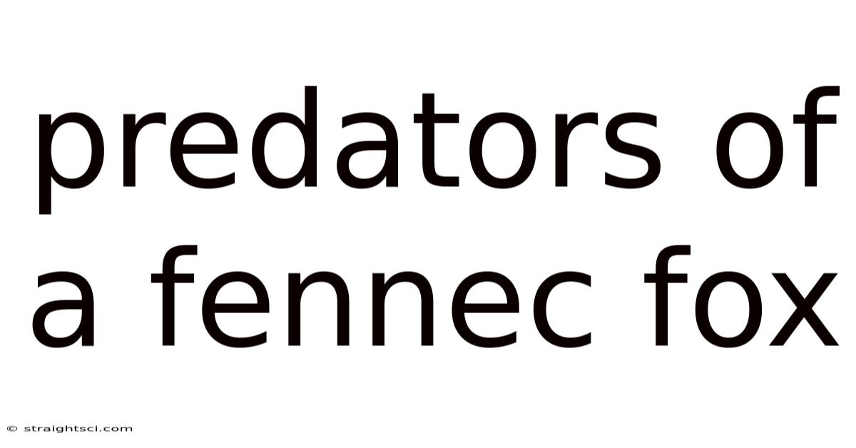 Predators Of A Fennec Fox
