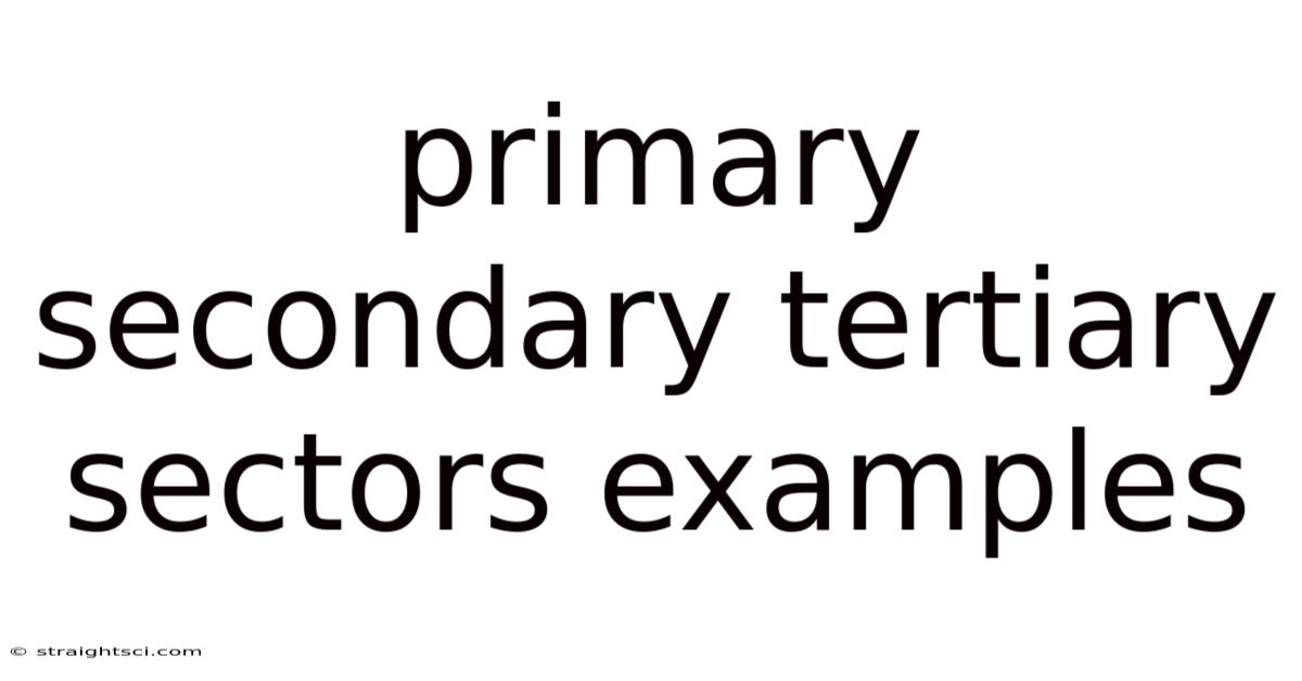 Primary Secondary Tertiary Sectors Examples