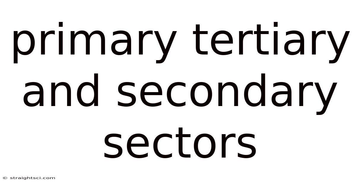 Primary Tertiary And Secondary Sectors