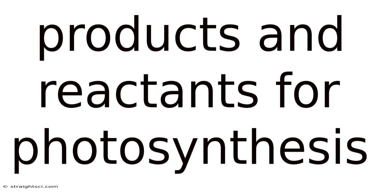 Products And Reactants For Photosynthesis
