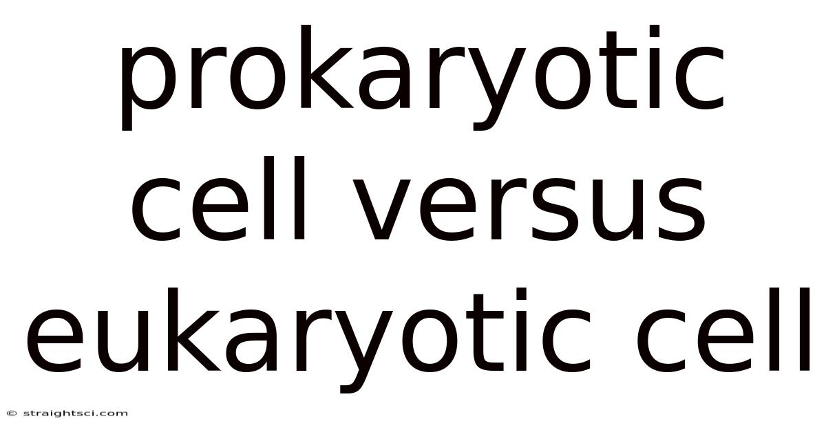 Prokaryotic Cell Versus Eukaryotic Cell