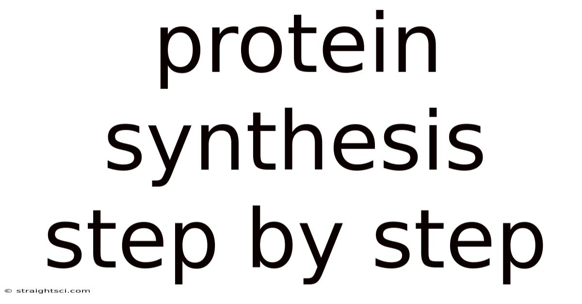 Protein Synthesis Step By Step