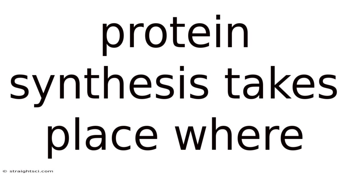 Protein Synthesis Takes Place Where