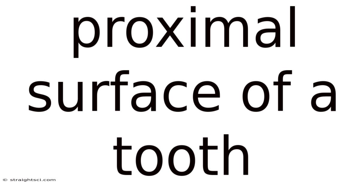 Proximal Surface Of A Tooth