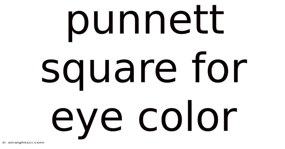 Punnett Square For Eye Color