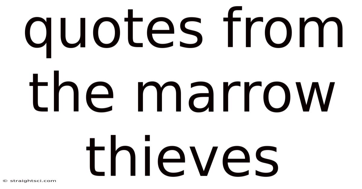 Quotes From The Marrow Thieves