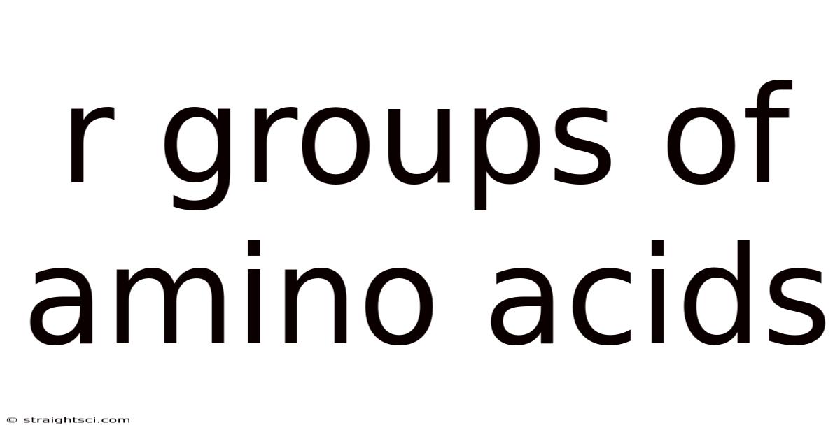 R Groups Of Amino Acids
