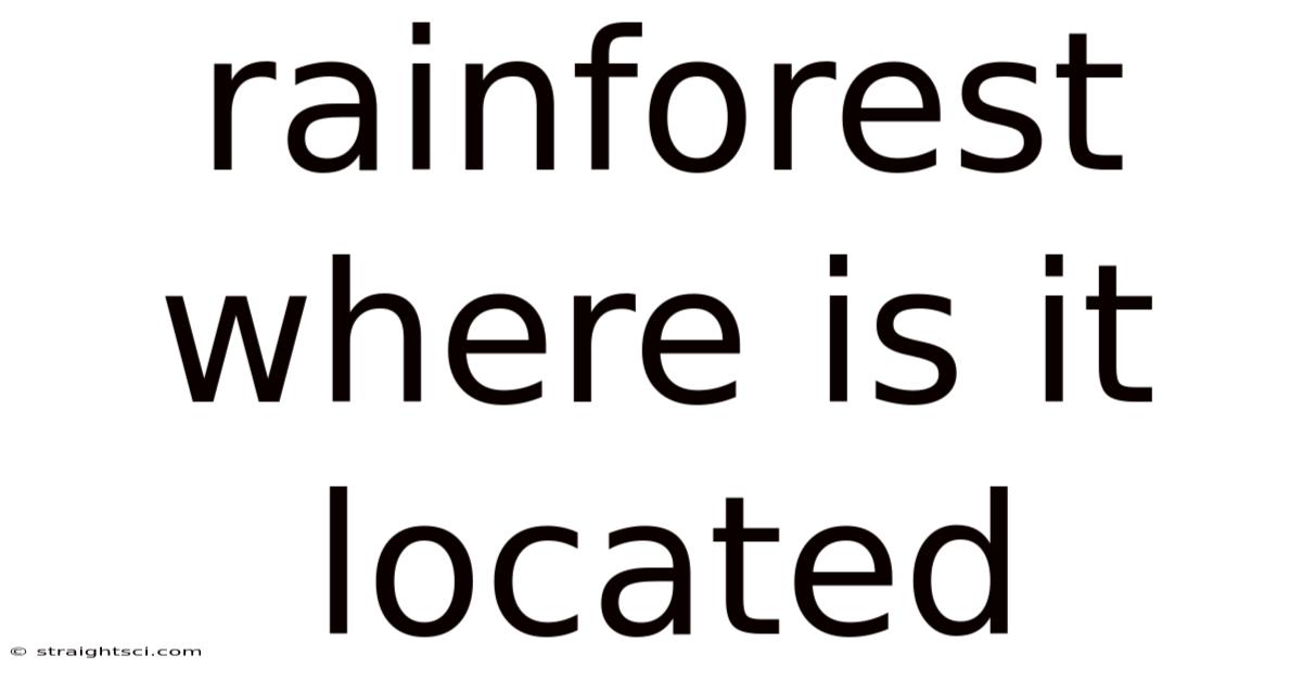 Rainforest Where Is It Located