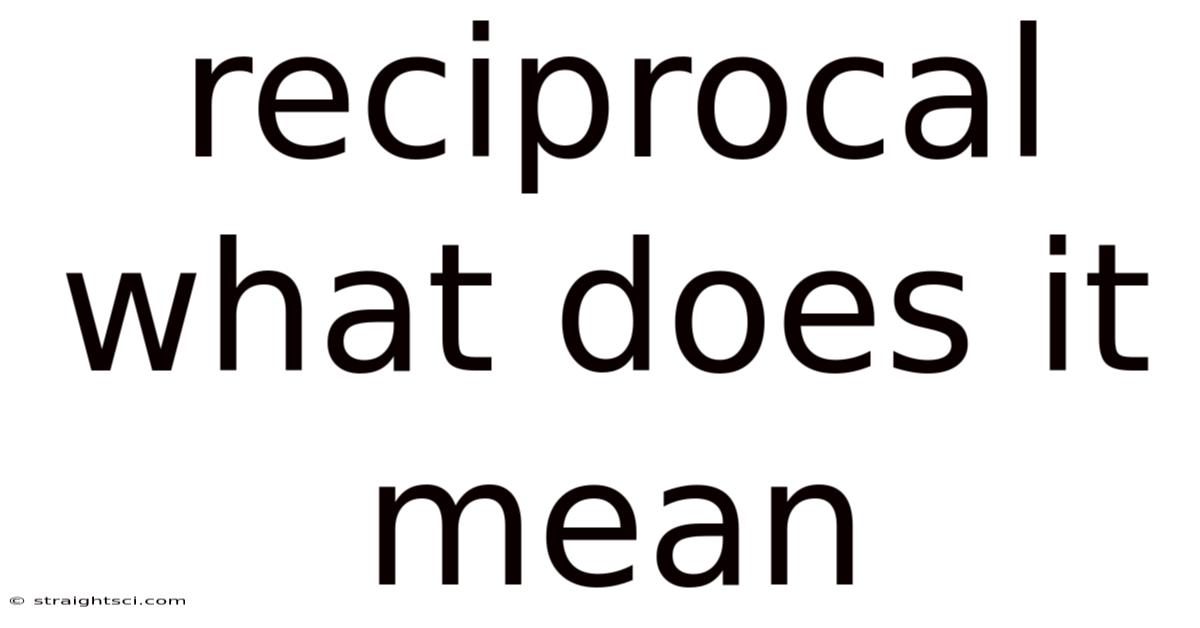 Reciprocal What Does It Mean