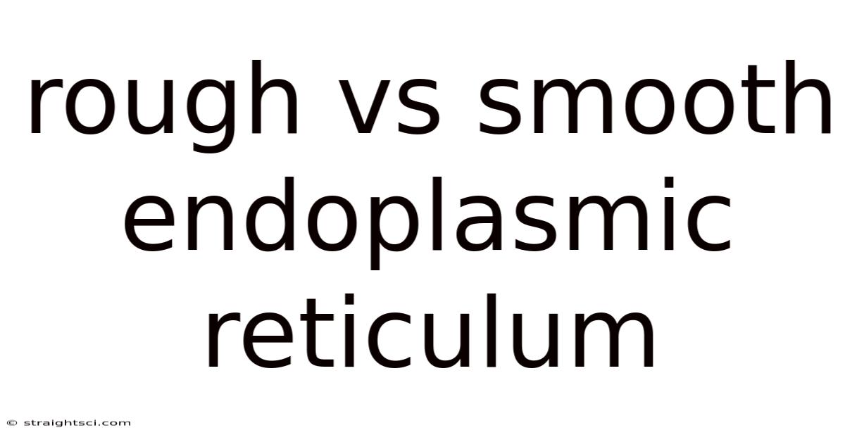 Rough Vs Smooth Endoplasmic Reticulum