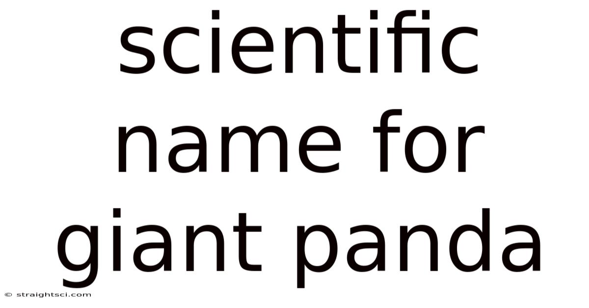 Scientific Name For Giant Panda