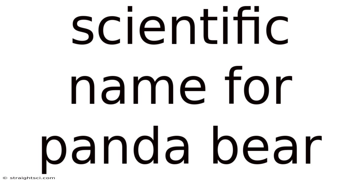 Scientific Name For Panda Bear