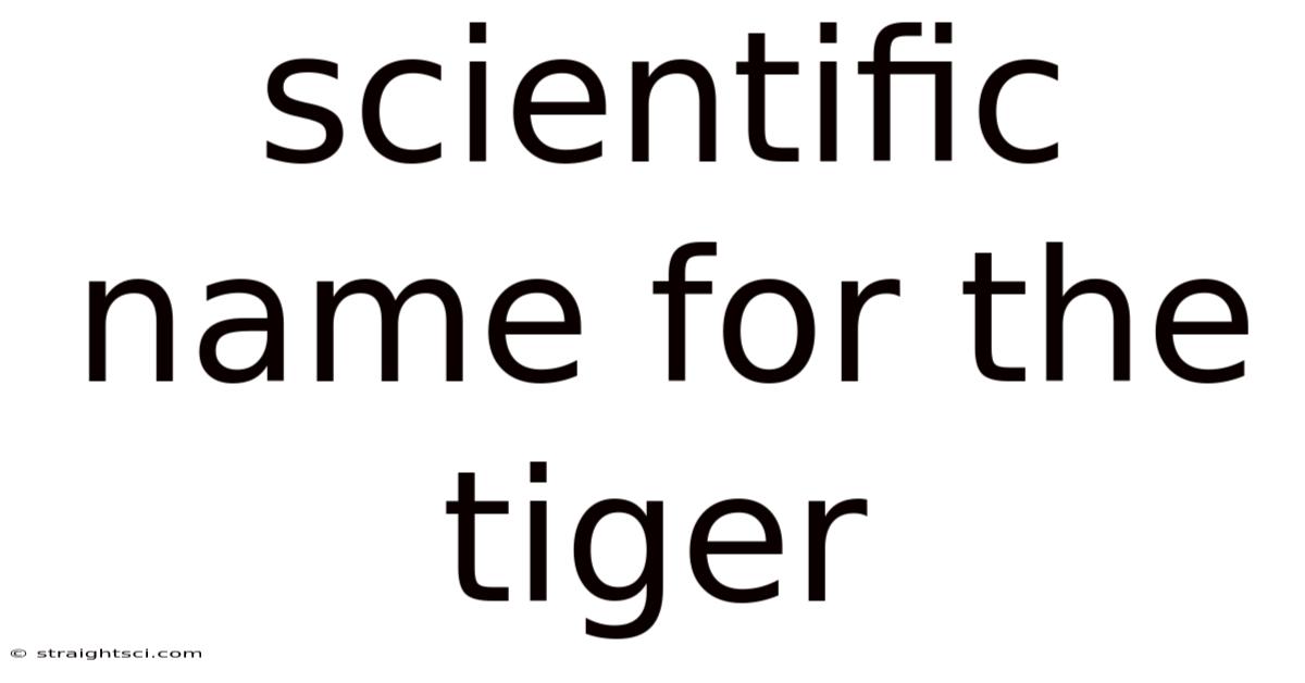 Scientific Name For The Tiger