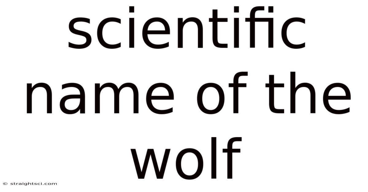 Scientific Name Of The Wolf