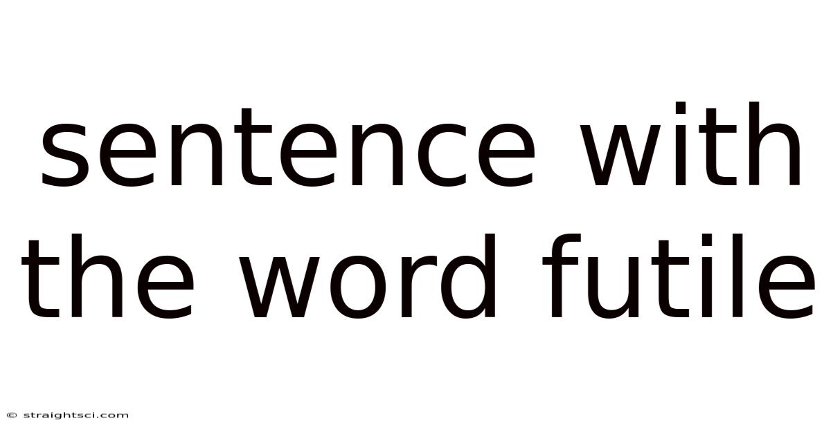Sentence With The Word Futile