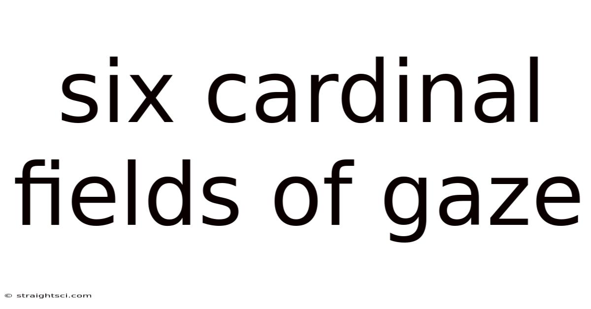 Six Cardinal Fields Of Gaze