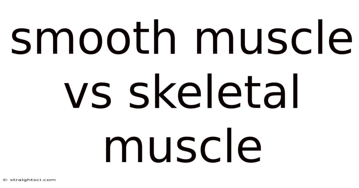 Smooth Muscle Vs Skeletal Muscle