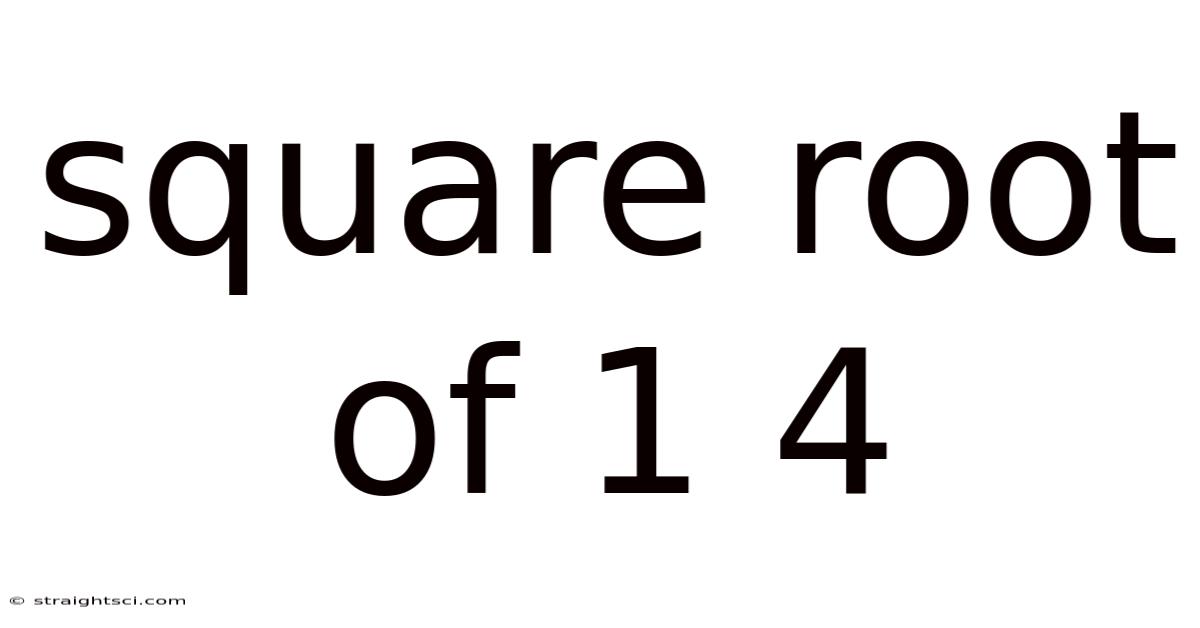 Square Root Of 1 4