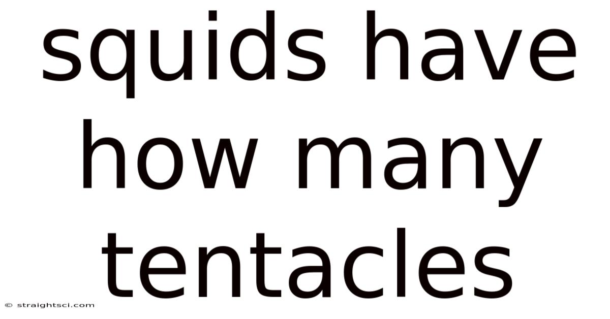 Squids Have How Many Tentacles
