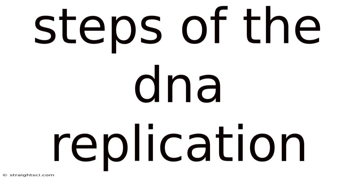 Steps Of The Dna Replication