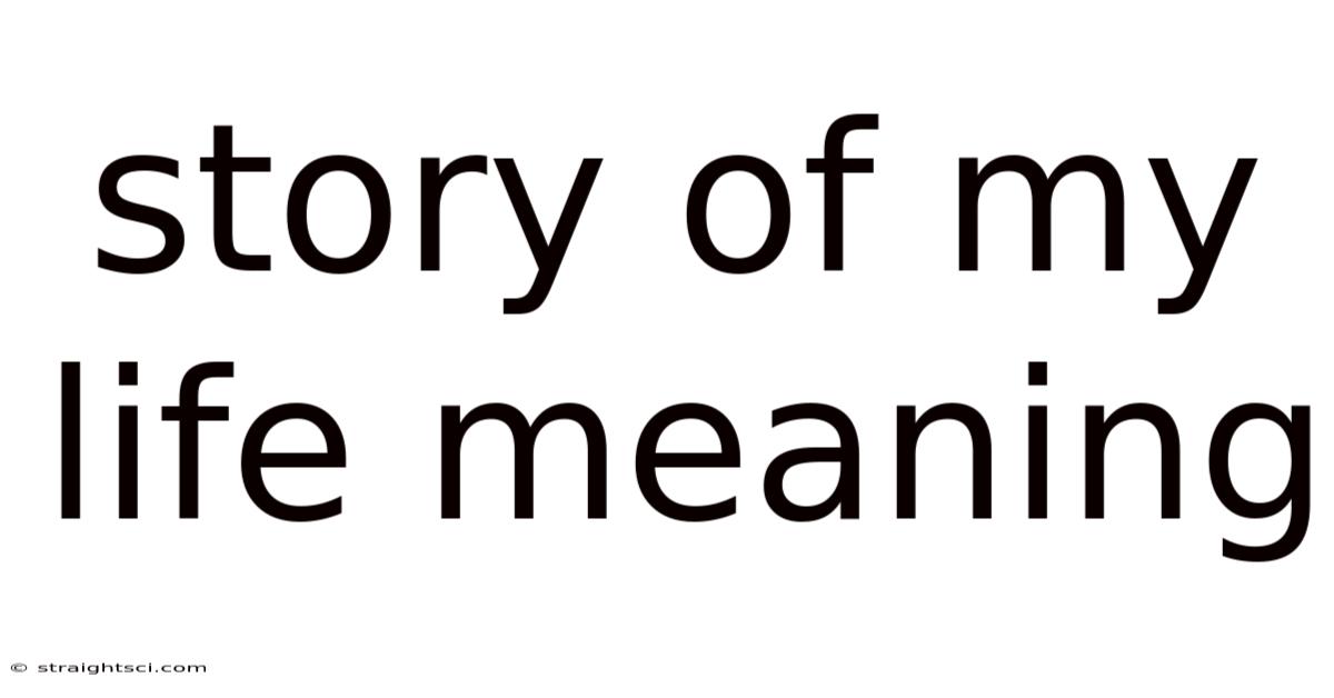 Story Of My Life Meaning