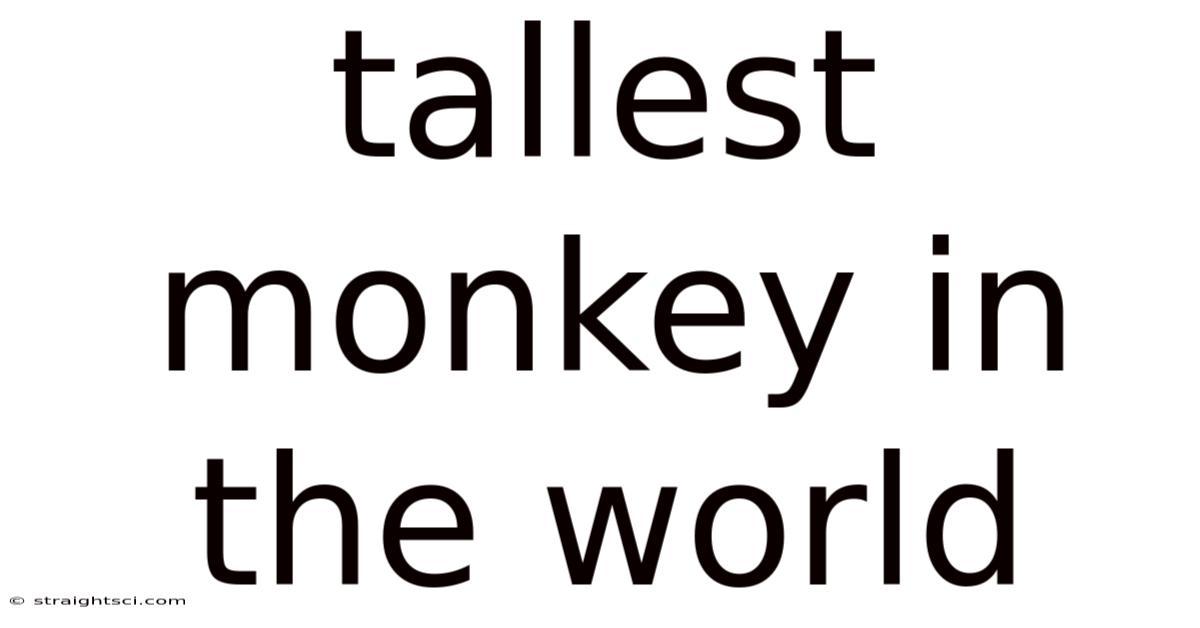 Tallest Monkey In The World