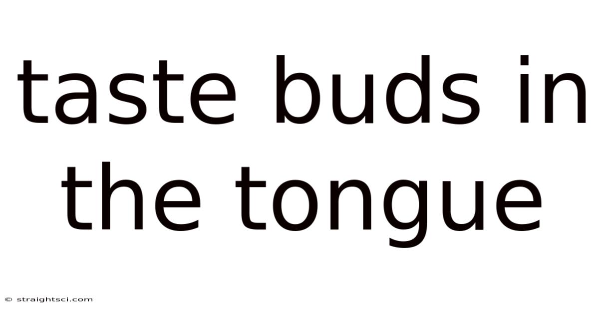 Taste Buds In The Tongue