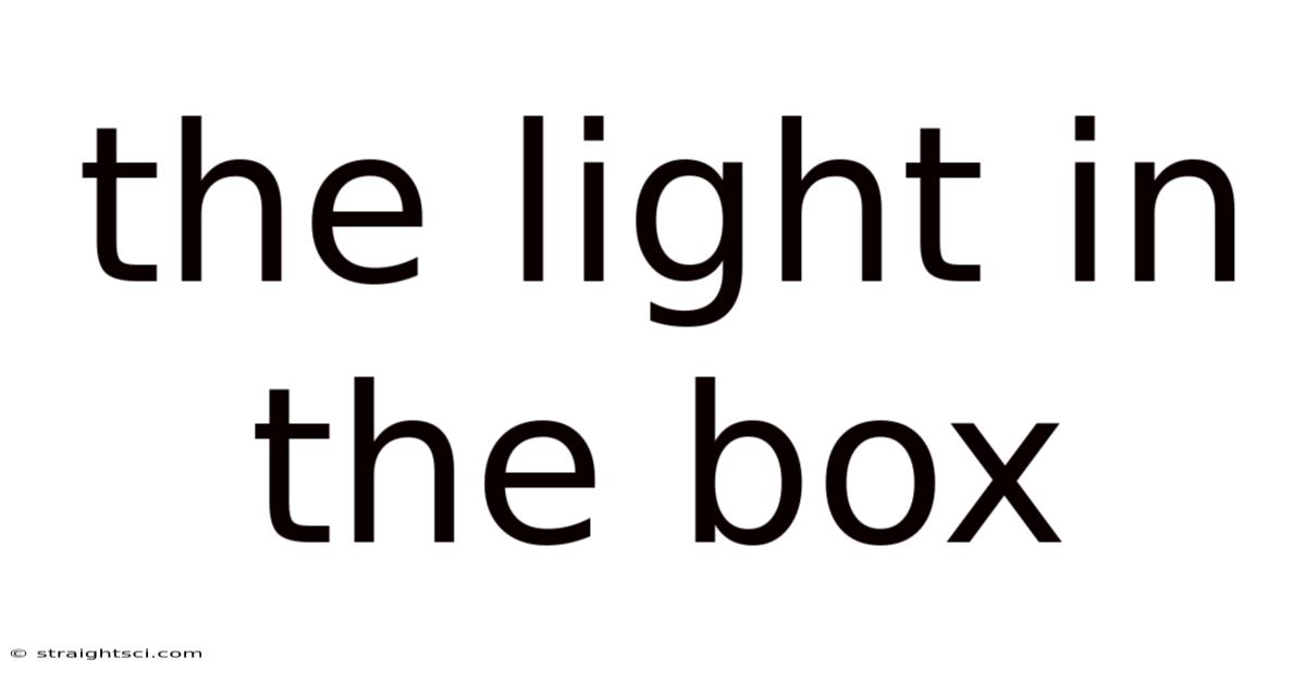 The Light In The Box