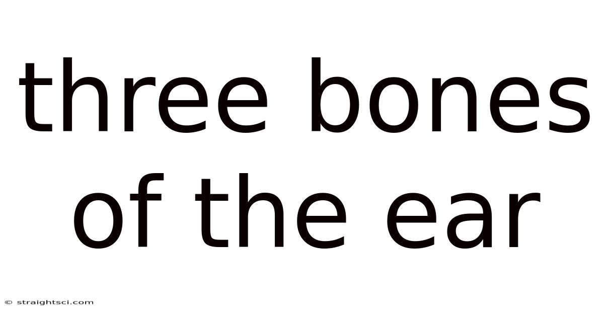 Three Bones Of The Ear