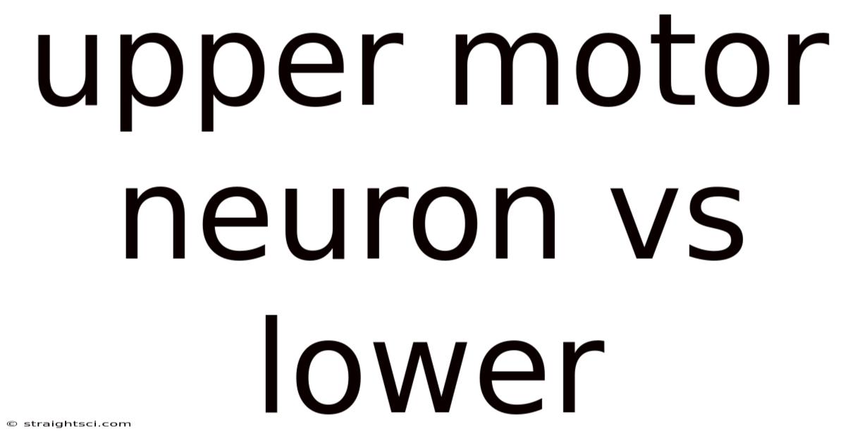 Upper Motor Neuron Vs Lower