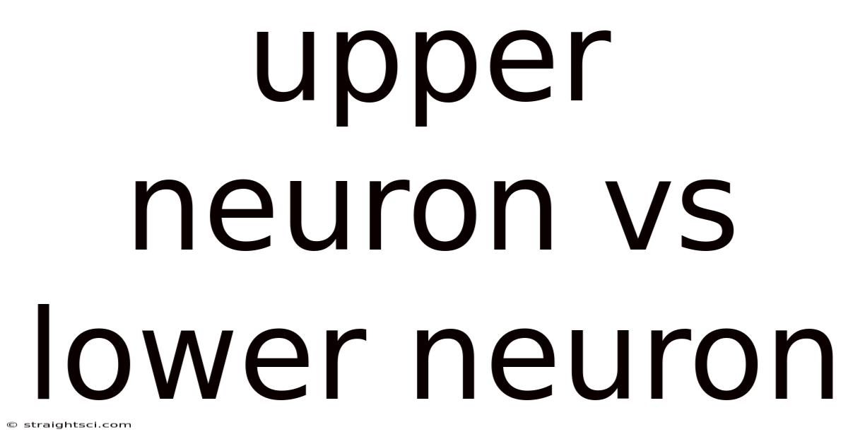 Upper Neuron Vs Lower Neuron