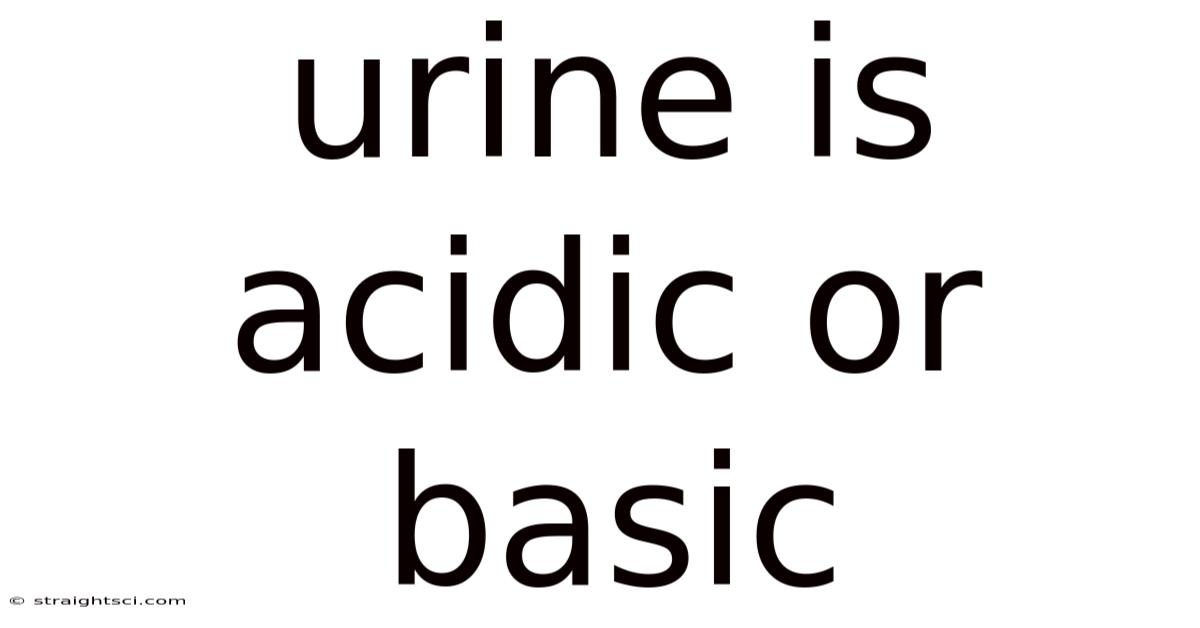 Urine Is Acidic Or Basic