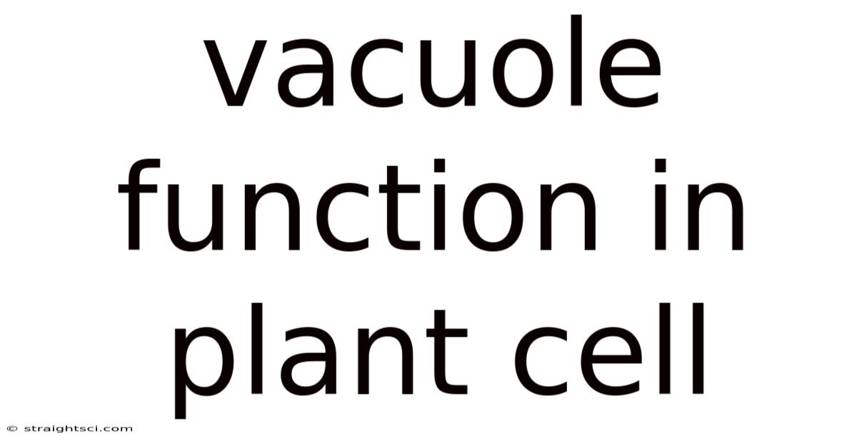 Vacuole Function In Plant Cell