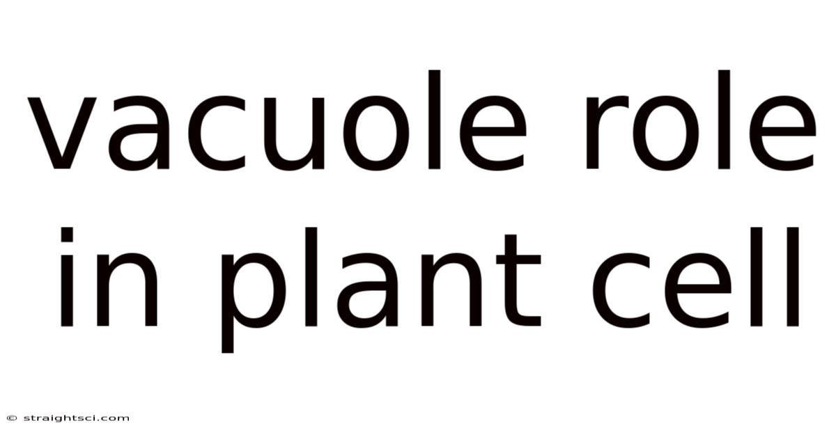 Vacuole Role In Plant Cell