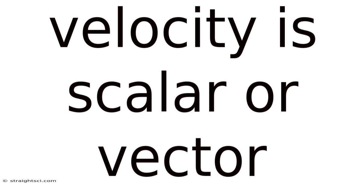 Velocity Is Scalar Or Vector