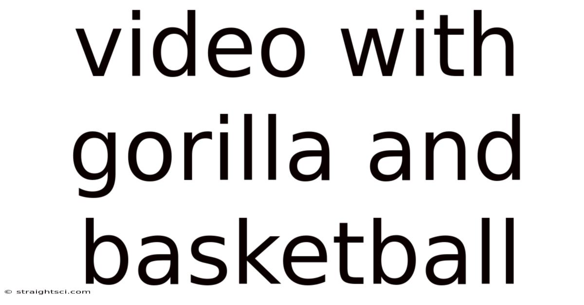 Video With Gorilla And Basketball