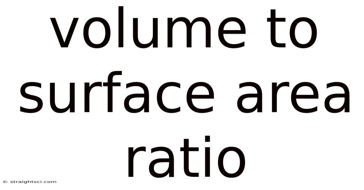 Volume To Surface Area Ratio