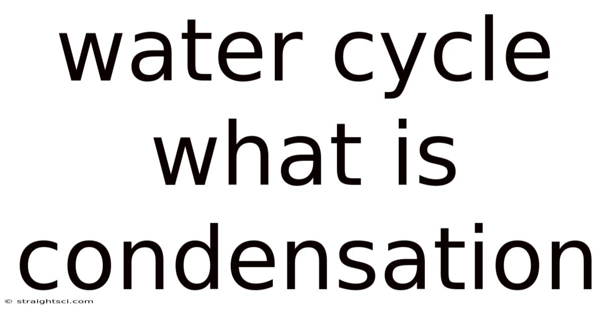 Water Cycle What Is Condensation