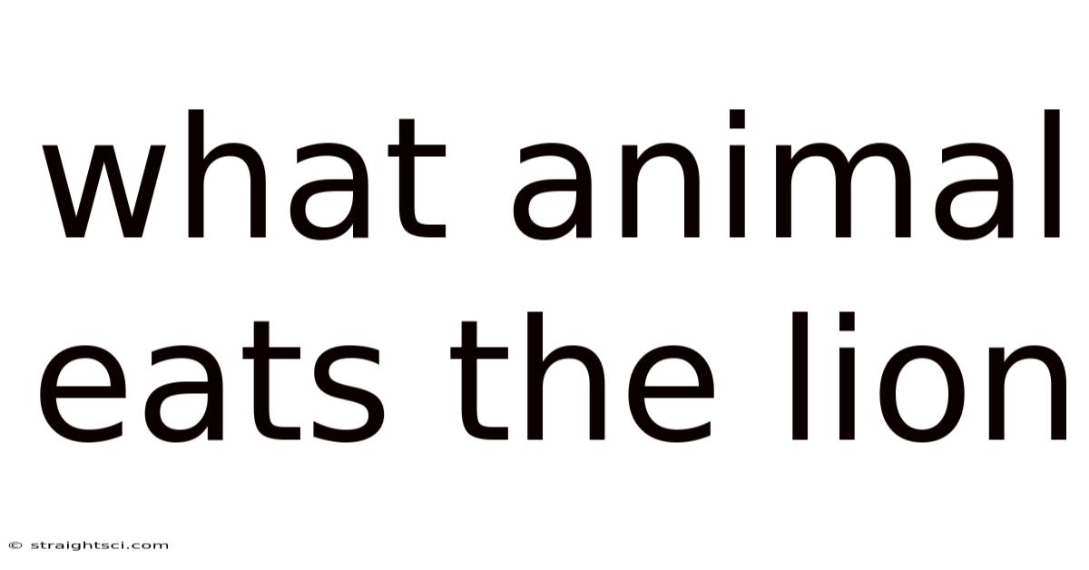 What Animal Eats The Lion