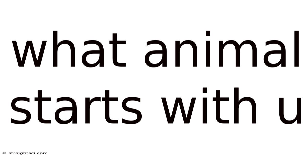 What Animal Starts With U