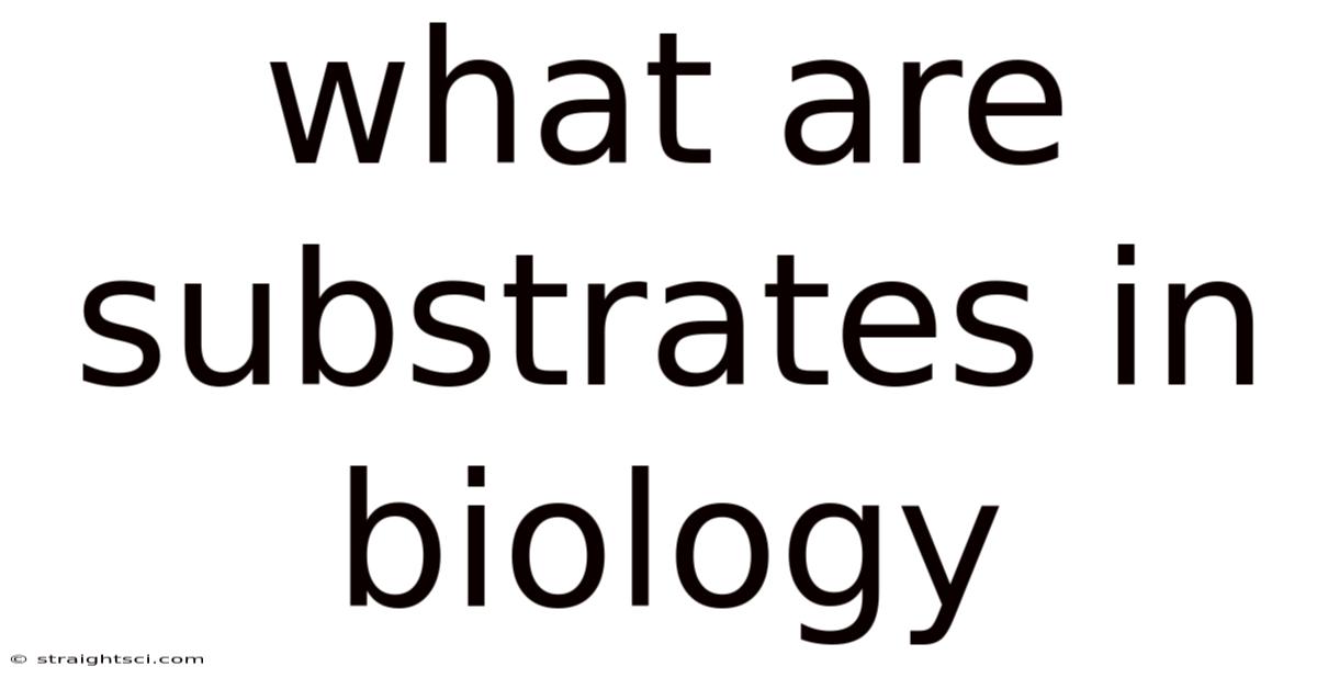 What Are Substrates In Biology