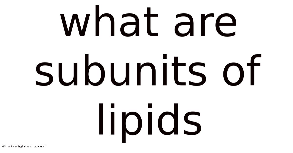 What Are Subunits Of Lipids