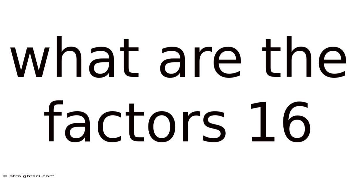 What Are The Factors 16