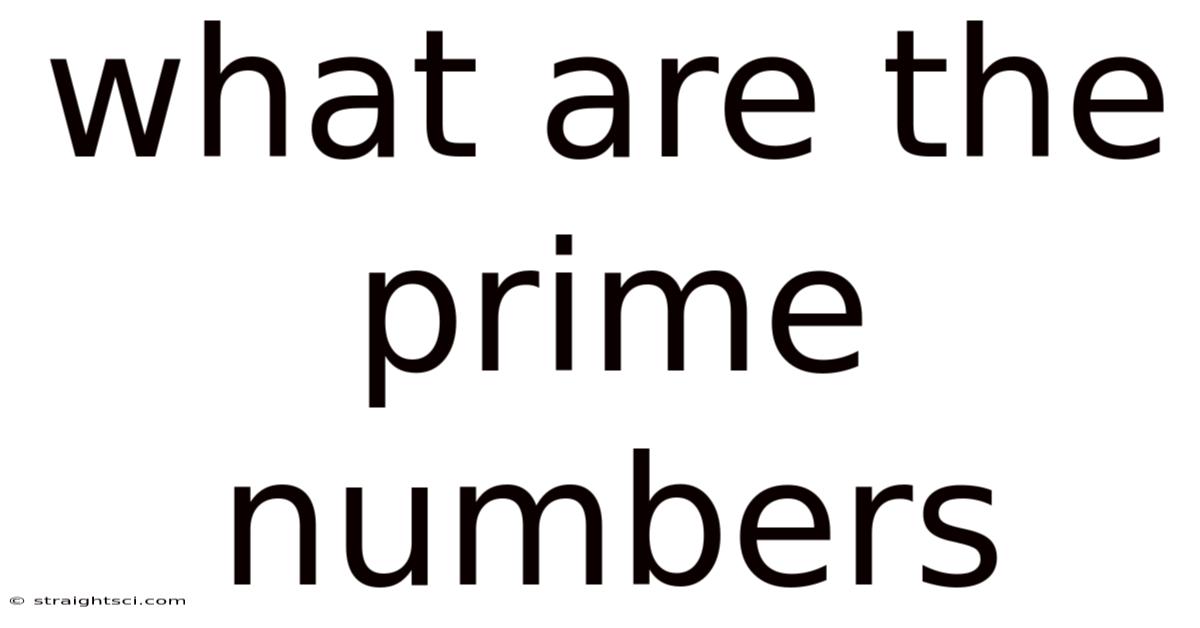 What Are The Prime Numbers