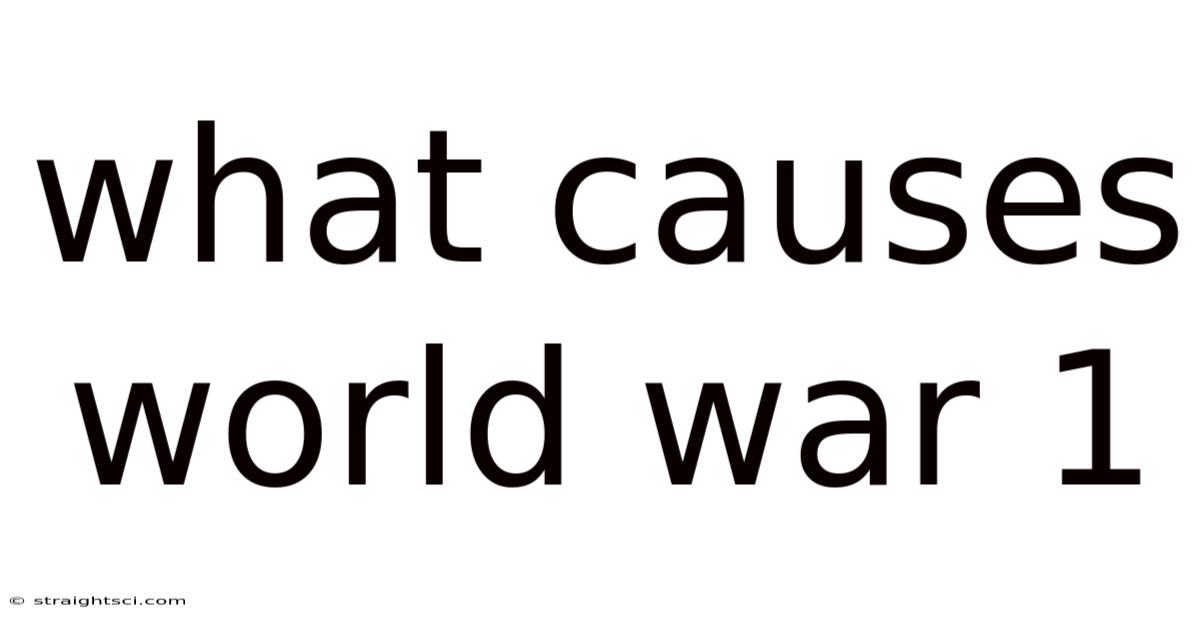 What Causes World War 1