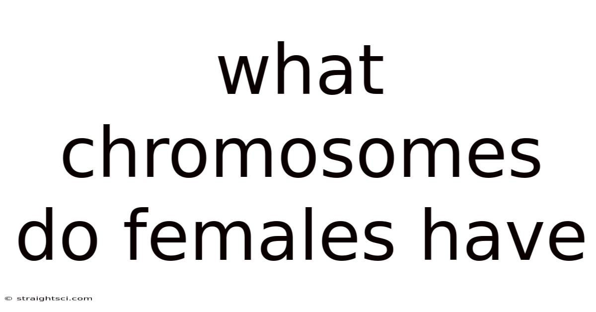 What Chromosomes Do Females Have