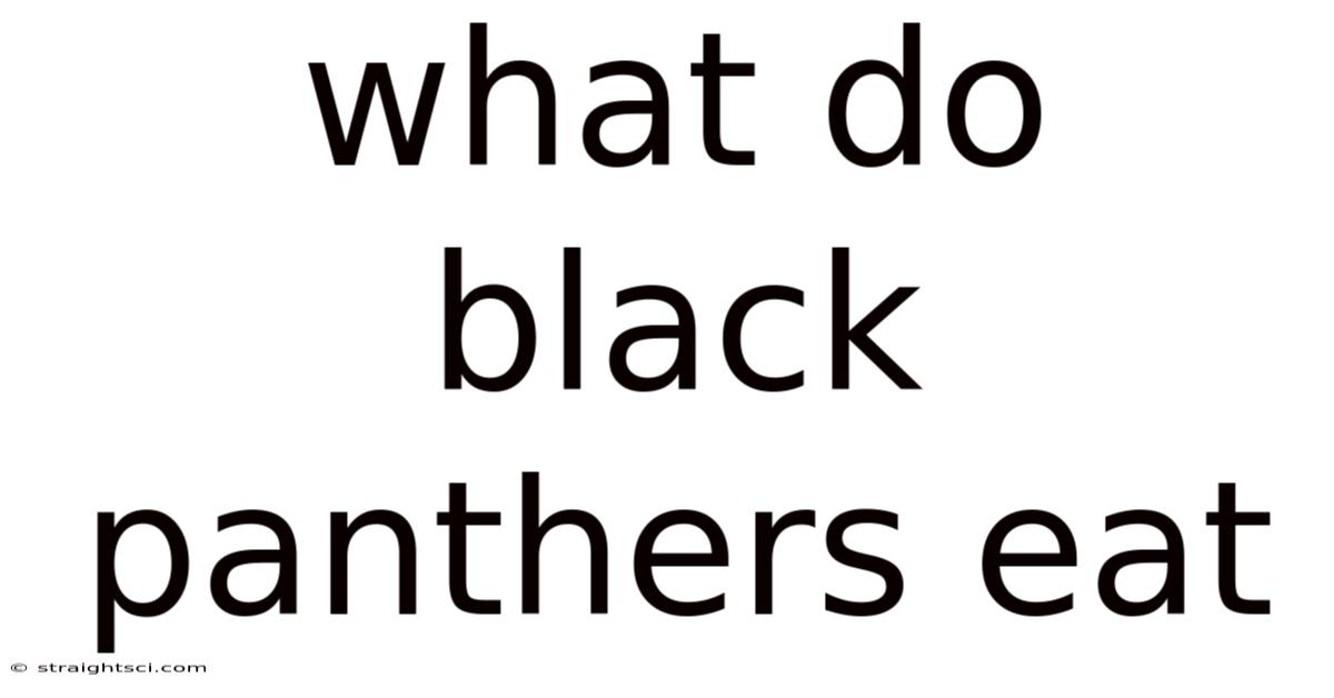 What Do Black Panthers Eat