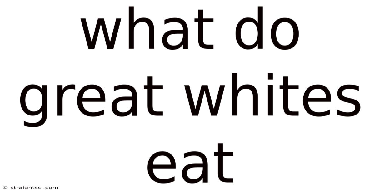 What Do Great Whites Eat