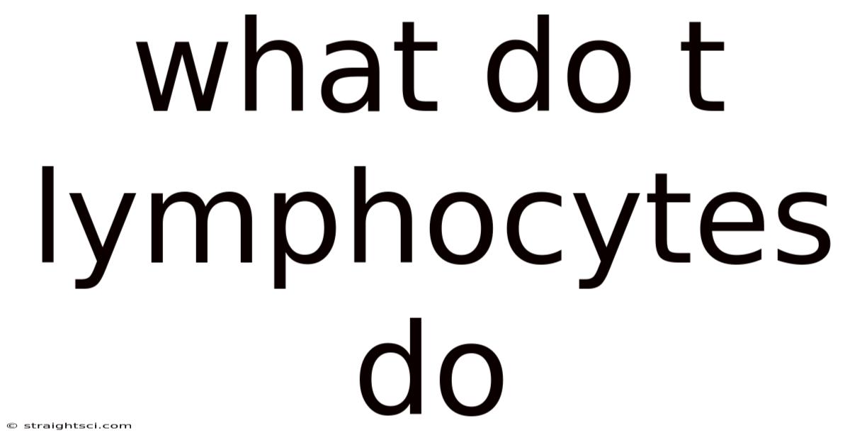 What Do T Lymphocytes Do