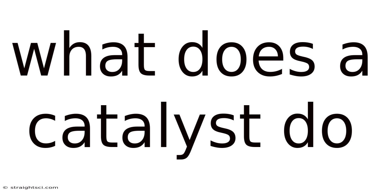 What Does A Catalyst Do